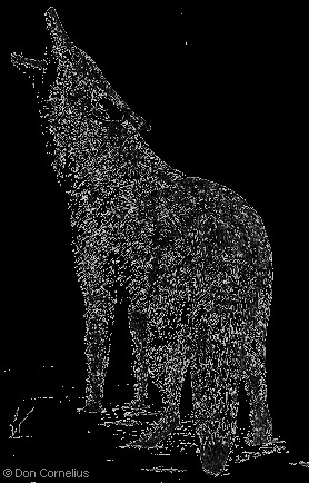 Native american literature-Native American Literature: Good Books by ...