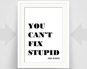You Can't Fix Stupid, Ron White Quote, Humor, Funny, Writer Gift, Art ...