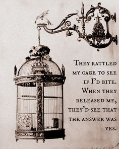 ... .tumblr.com/post/63813635502/ya-meme-1-9-quotes-the-evolution-of-mara