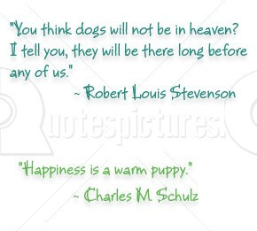 you Think Dogs will not be in Heaven – Animal Quote