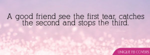Friendship Facebook Covers: A good Friend
