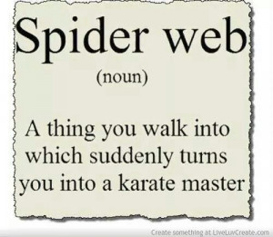 Spider Web... Karate master
