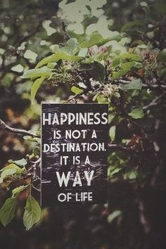 Happiness is not a destination it is a way of life.
