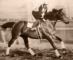 Description Seabiscuit workout with GW up.jpg