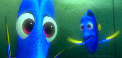 Finding Nemo Chum Quotes Findingnemo.