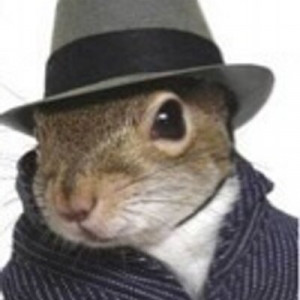 squirrel quotes squirrelquotes tweets 793 following 1540 followers ...