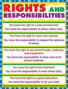 Love it! Rights and Responsibilities Chart for government unit