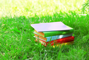 from Gabriela Geselowitz