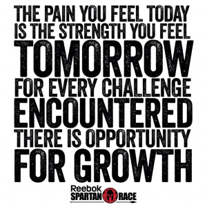 quote:I Am training for the Spartan Race have been following their ...
