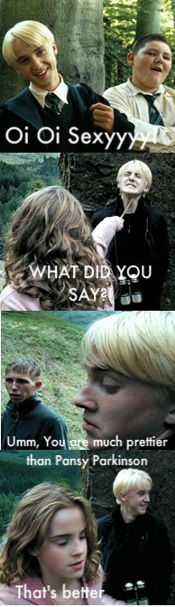 Harry Potter Funny Malfoy and Hermione