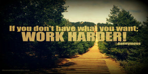 If you don’t have what you want; Work Harder! – Anonymous
