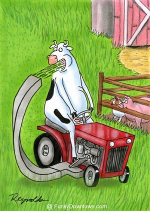 17 funny animal farm cartoons funky downtown