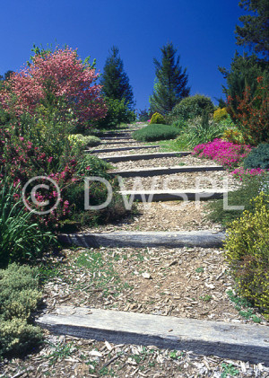 Garden, Gardens, footpath, footpaths, path, paths, pathway, pathways ...