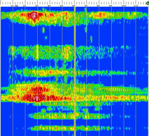 universal logo and ship flyby lfe only