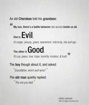An old Cherokee told his grandson: