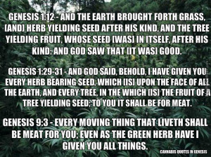cannabis-quotes-in-the-book-of-genesis_o_4997721.jpg