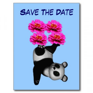 cute panda bear juggling bright pink zinnia flowers funny save the