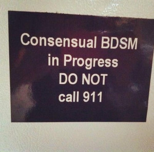 Consensual BDSM. Lol!