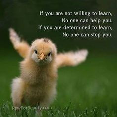 if ur not willing to learn.. More