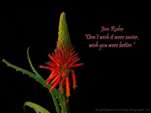 Motivational Wallpaper - Jim Rohn Quote