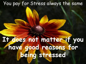 Managing Stress Quotes We pay for stress always the