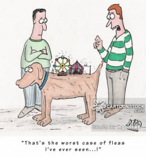 Lassies Fleas Funny Cartoon Tees Gifts Letterhead