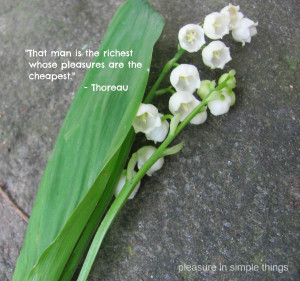 the simple things quote anything can too so quotes about simple things ...