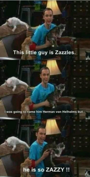 Sheldon Cooper ZAZZIES