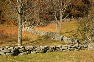 Words to Weigh: “Mending Wall” by Robert Frost