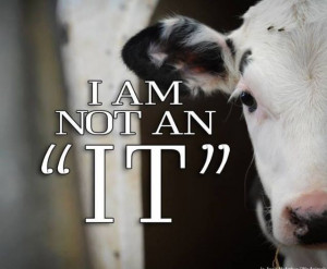 Found on Uploaded by user