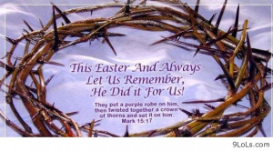 funny-summer-2013-funny-quotes-funny-funny-memes-funny-animals-funny ...