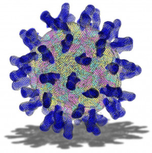 common cold virus Week in Photos