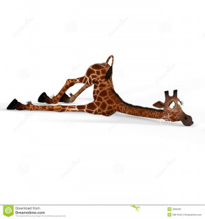 Cute Giraffe With Funny Face Lovely Royalty Free Stock Photography