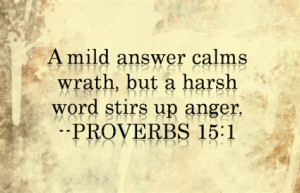 bible 1 345 proverbs verses quotes