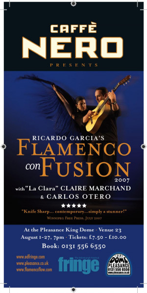 Ricardo Garcia Flamenco/World guitarist and composer flamenco ...
