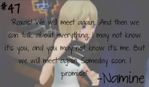 Roxas! We will meet again. And then we can talk about everything. I ...