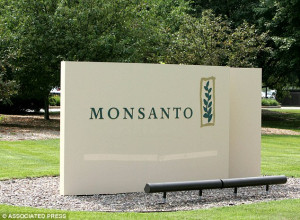 Agriculture giant: Monsanto is the developer of both Roundup herbicide ...