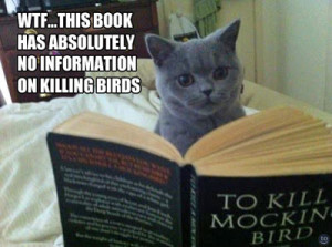 This book as no information on killing birds