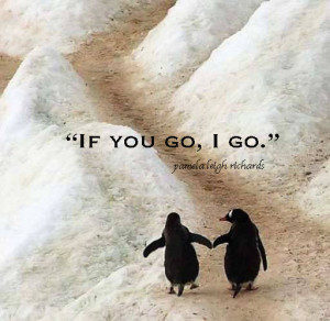Penguin Love Quotes Poems Penguins pamela quote.