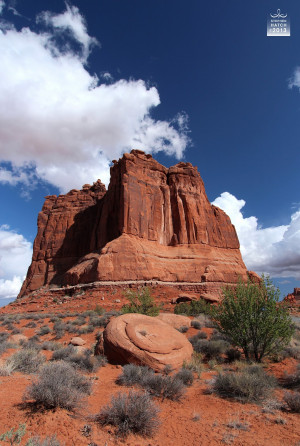 The Navajo word for beauty - 