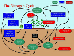 Soil_conservation Picture Slideshow