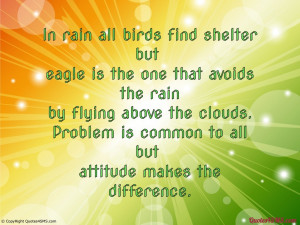 In rain all birds find shelter but...