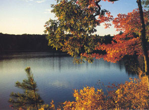 ... to Walden pond , of that experience he said 