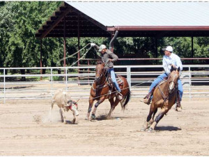 Team Roping Quotes