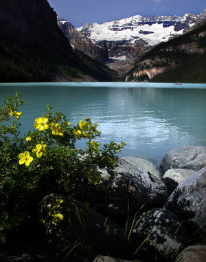 Funny Quotes Contact Us DMCA Notice