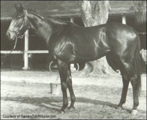 Note from the Principal