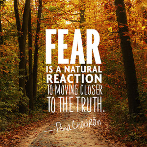 Fear is a natural reaction to moving closer to the truth. – Pema ...