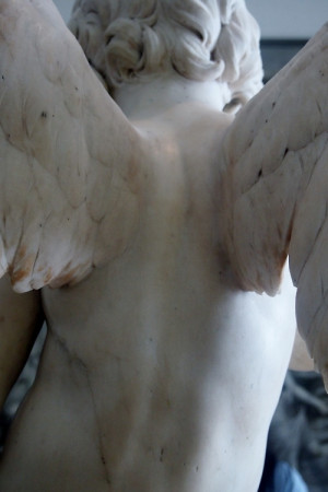 photography art sculpture boy angel porcelain Wings Amsterdam ...