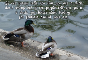 If it looks like a duck, quacks like a duck..... by venicet