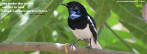 Bird Quote Facebook Cover